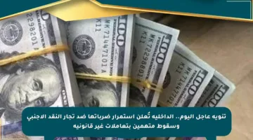 تنويه عاجل اليوم.. الداخلية تُعلن استمرار ضرباتها ضد تجار النقد الأجنبي وسقوط متهمين بتعاملات غير قانونية